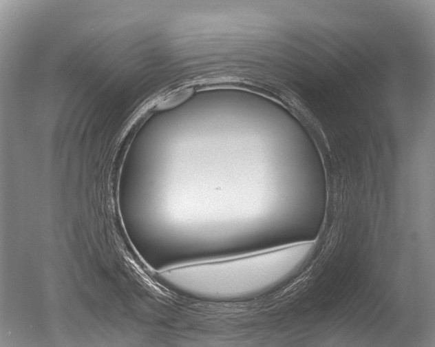X0000051250789200506170840