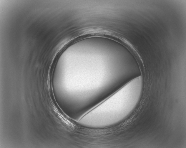 X0000051250791200506170840