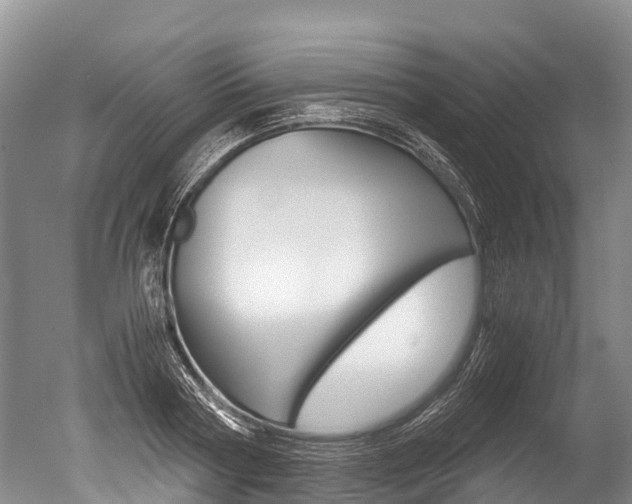 X0000051250794200506170840