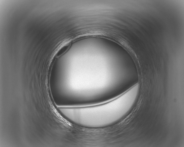 X0000051250797200506170840