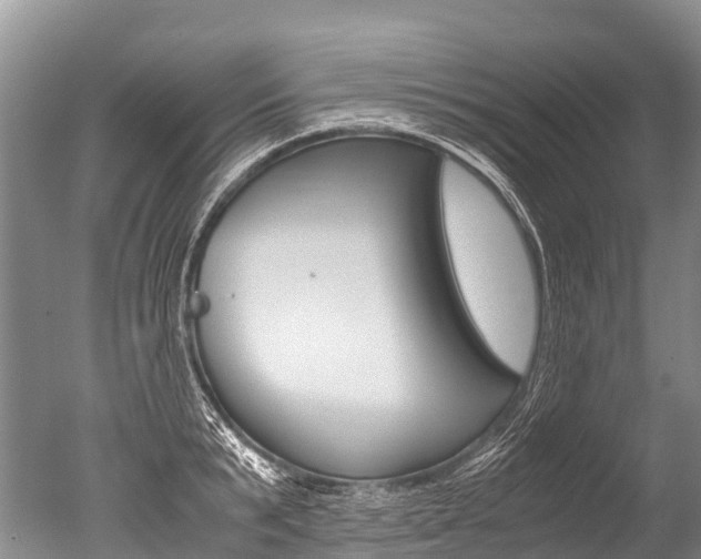 X0000051250799200506170840