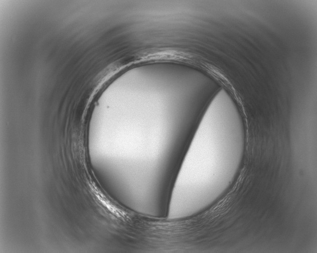 X0000051250800200506170840