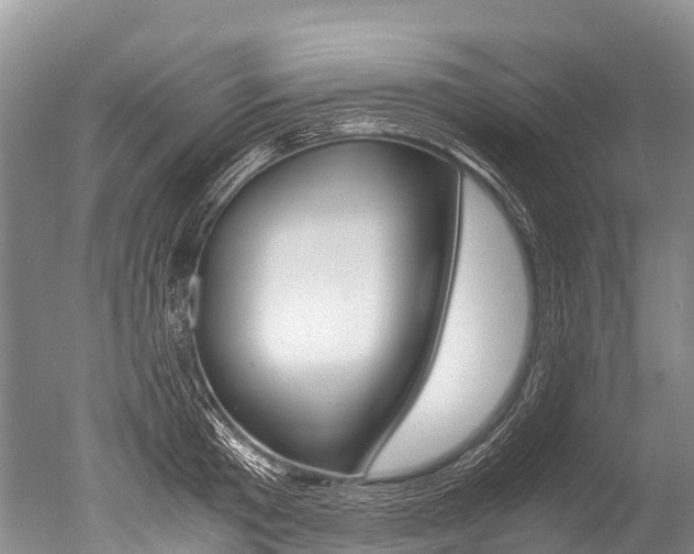 X0000051250801200506170840