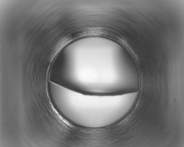 X0000051250802200506170840