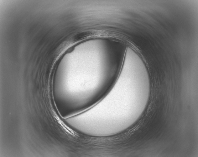 X0000051250803200506170840