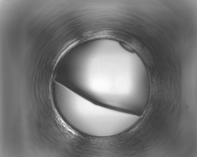 X0000051250806200506170840
