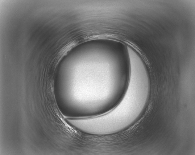 X0000051250809200506170840