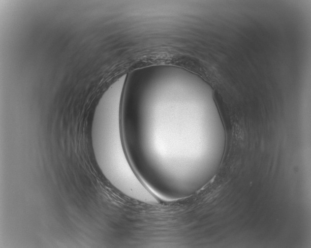 X0000051250818200506170839