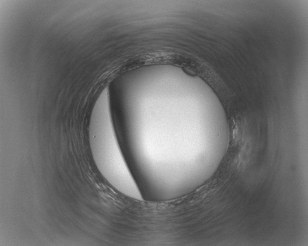 X0000051250819200506170839
