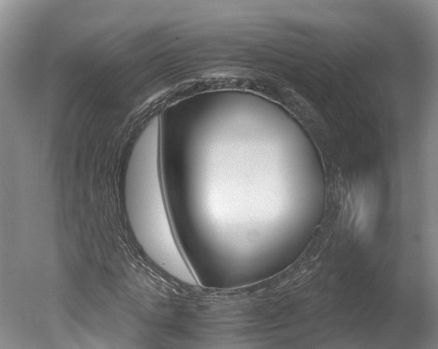 X0000051250821200506170839