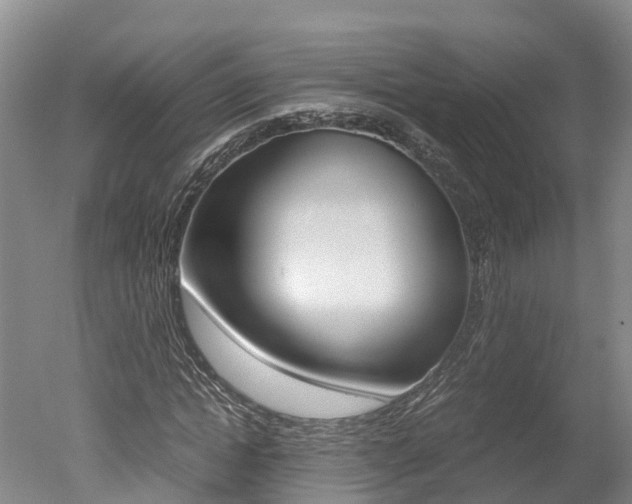 X0000051250822200506170839