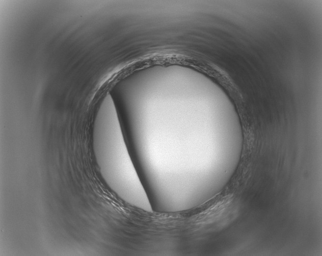 X0000051250823200506170839