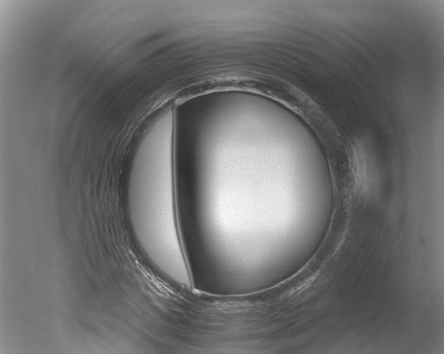 X0000051250825200506170839