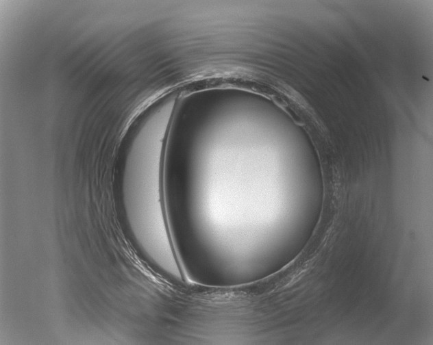 X0000051250826200506170839