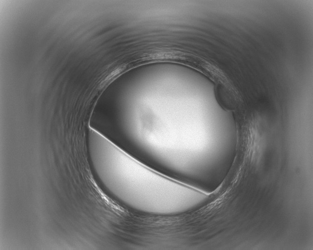 X0000051250841200506170840
