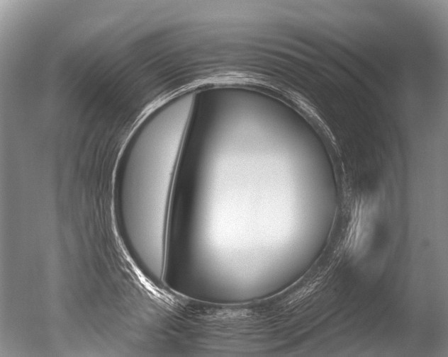X0000051250845200506170840