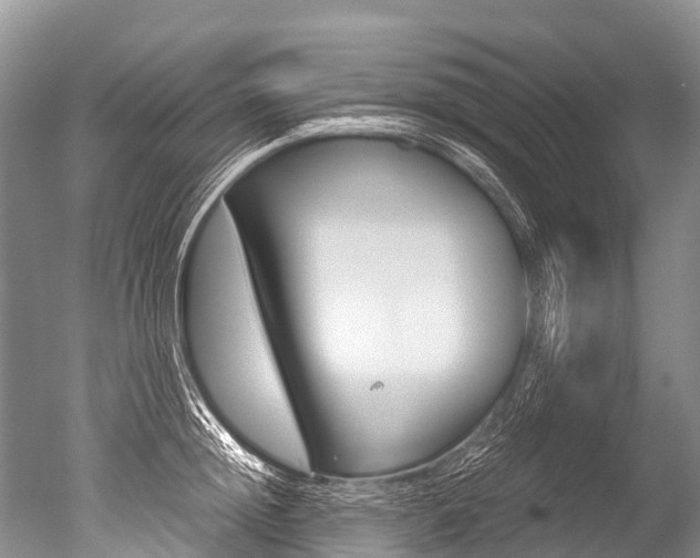 X0000051250852200506170840