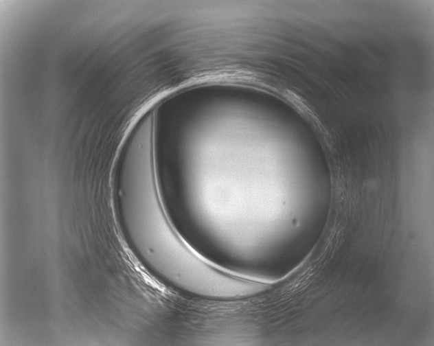 X0000051250854200506170840