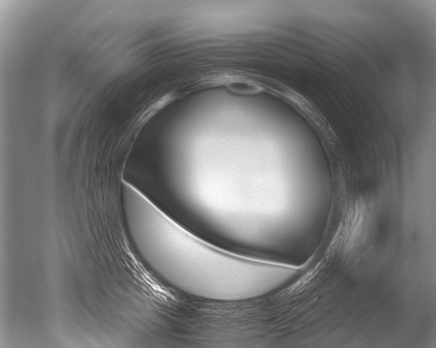 X0000051250857200506170840