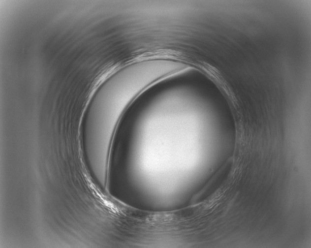X0000051250858200506170840
