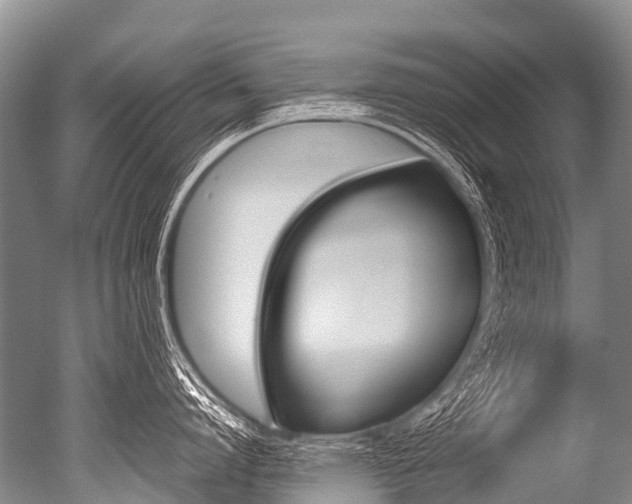 X0000051250864200506170840