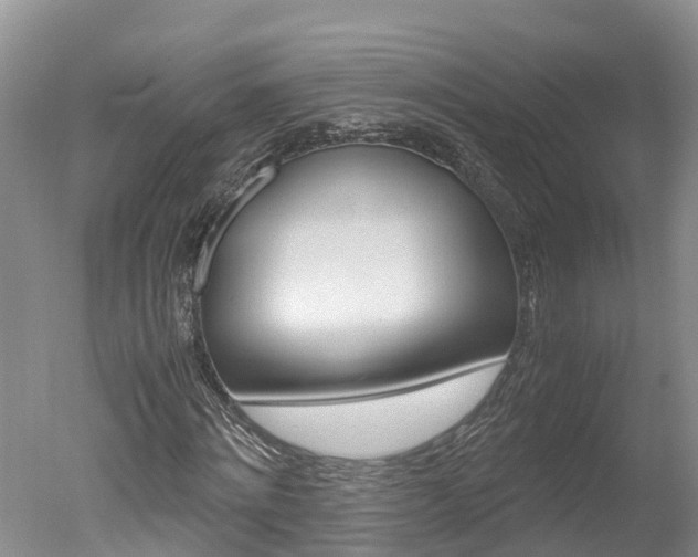 X0000051250868200506170839