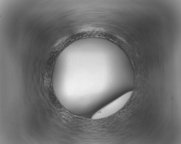 X0000051250869200506170839