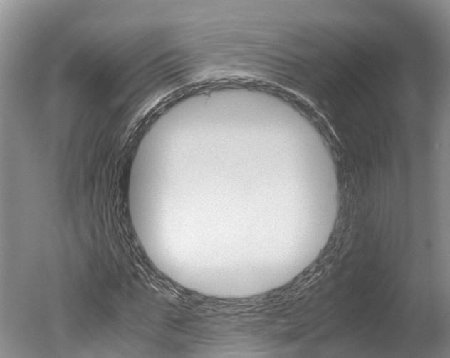 X0000051250871200506170839