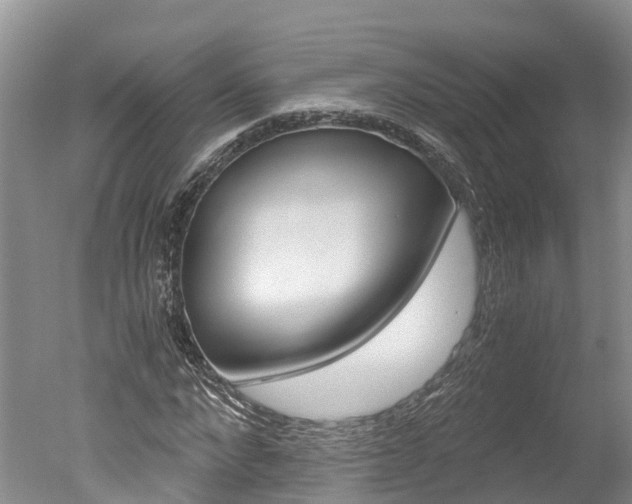 X0000051250872200506170839