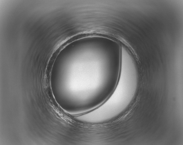 X0000051250876200506170839