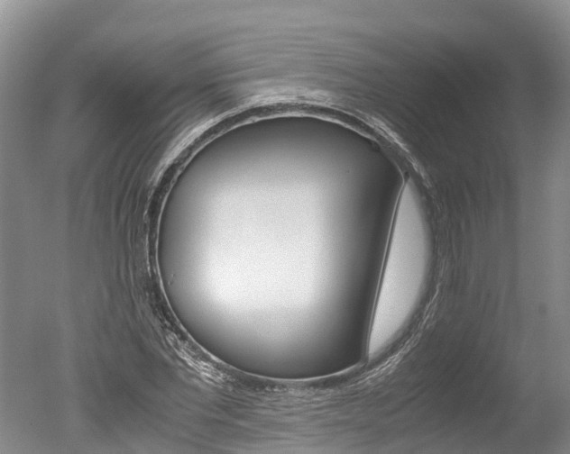 X0000051250877200506170839