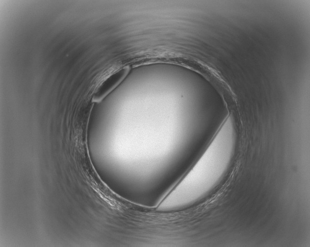 X0000051250881200506170839