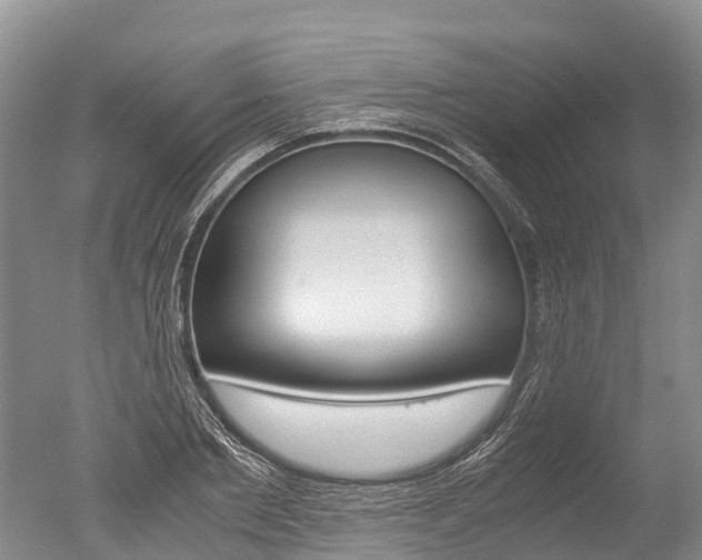 X0000051250885200506170839