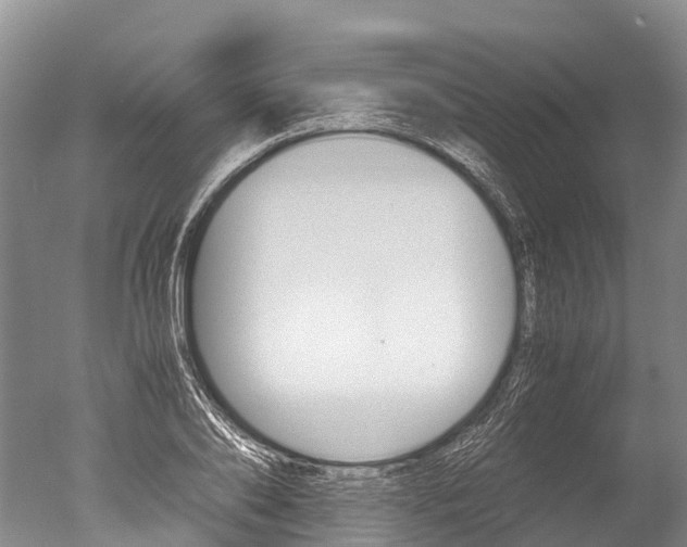 X0000051250886200506170839