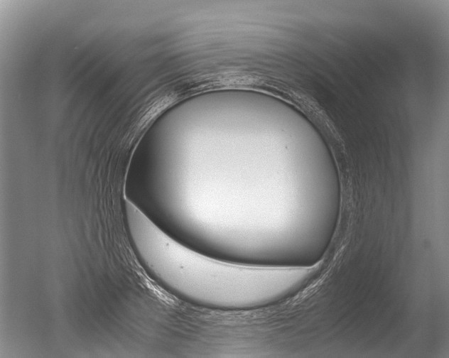 X0000051250889200506170839