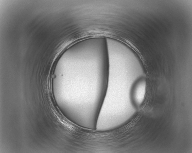 X0000051250891200506170839