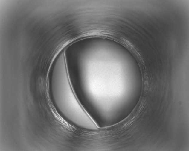 X0000051250892200506170839