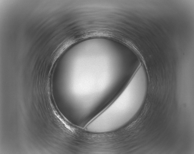 X0000051250898200506170839