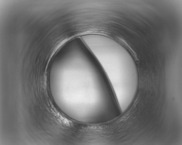X0000051250900200506170839