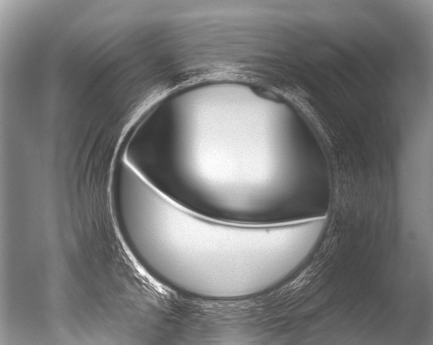X0000051250902200506170839