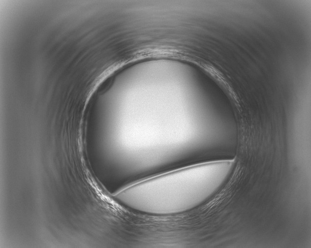 X0000051250904200506170839