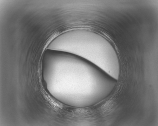 X0000051250907200506170838