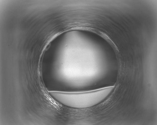 X0000051250908200506170838