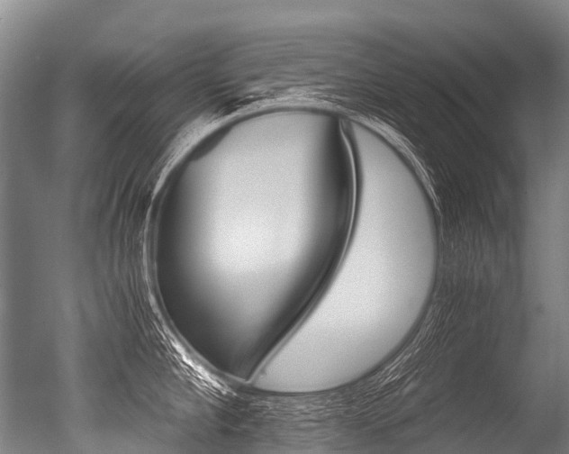 X0000051250910200506170838