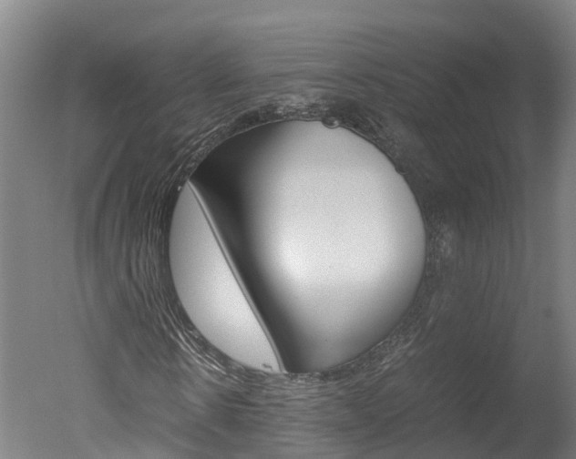 X0000051250914200506170838