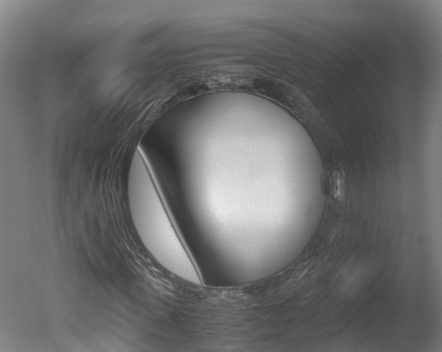X0000051250915200506170838