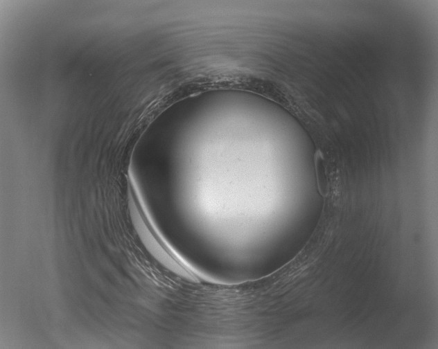 X0000051250916200506170838
