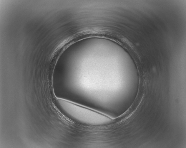 X0000051250922200506170838