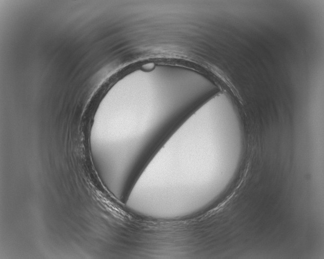 X0000051250926200506170838