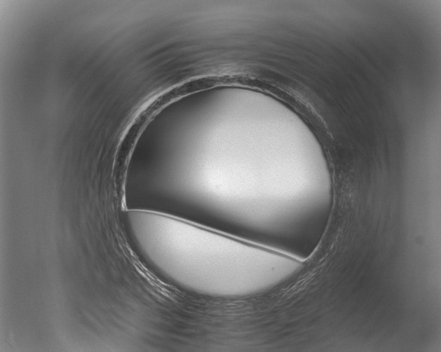 X0000051250927200506170838
